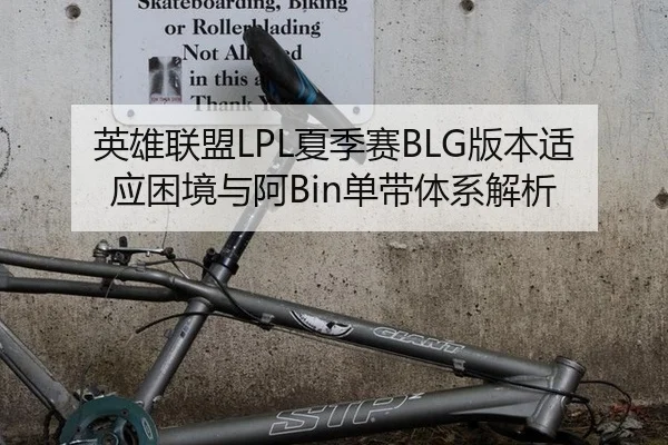 英雄联盟LPL夏季赛BLG版本适应困境与阿Bin单带体系解析