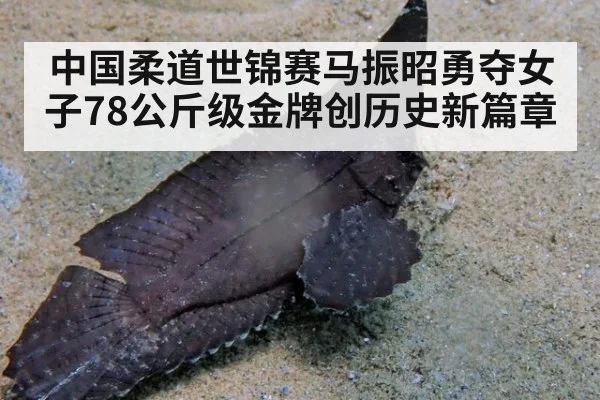 中国柔道世锦赛马振昭勇夺女子78公斤级金牌创历史新篇章